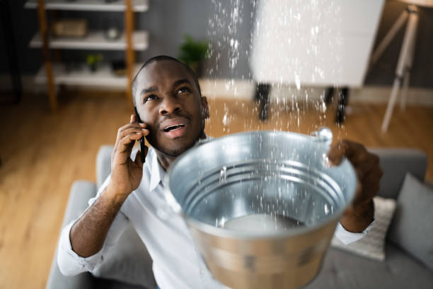 Best Flood damage cleanup  in Lake Telemark, NJ