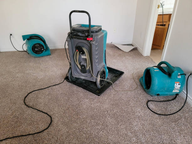 Best Water damage restoration specialists  in Lake Telemark, NJ