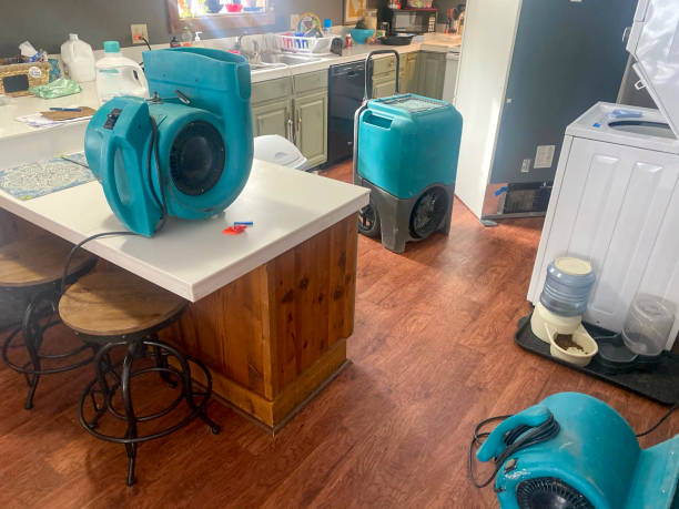 Water damage restoration mold remediation in Lake Telemark, NJ