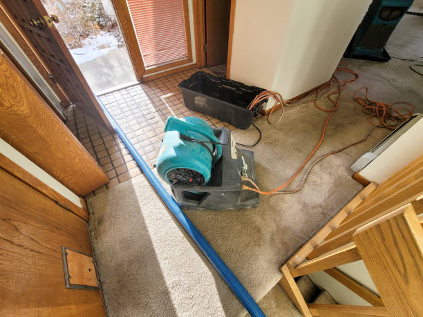 Best Carpet water damage restoration  in Lake Telemark, NJ