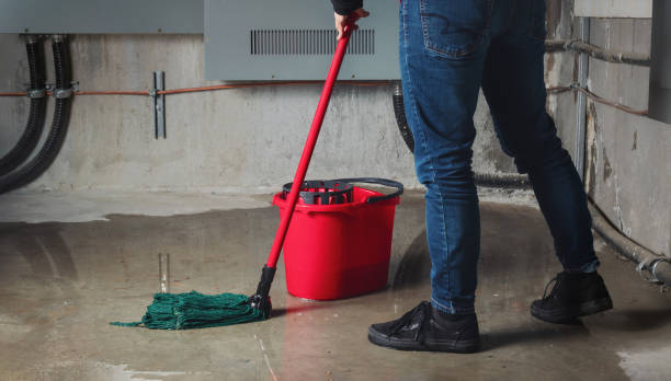 Best Basement water damage restoration  in Lake Telemark, NJ