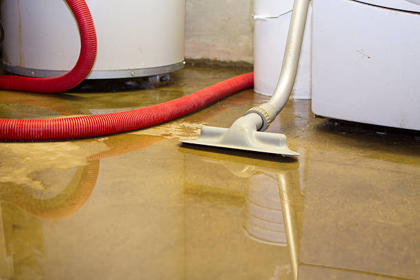 Best Professional water damage repair  in Lake Telemark, NJ